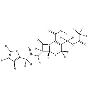 Cephalothin