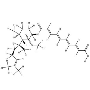 Fumagillin solution