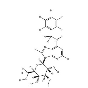 6-Benzylaminopurine 9-(beta-D-glucoside) solution