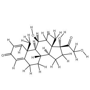 Prednisolone solution