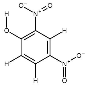 Dinitrophenol, 2,4- solution