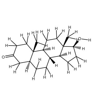 Androstanolone