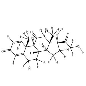 Prednisone