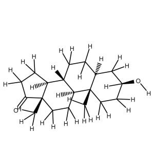 Androsterone