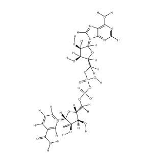 Diphosphopyridine Nucleotide, beta- solution