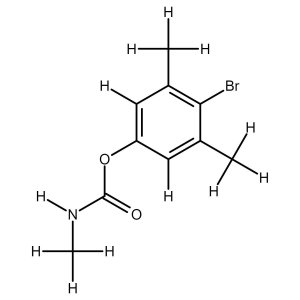 BDMC solution
