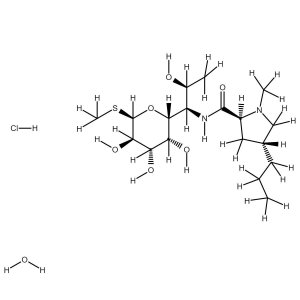 Lincomycin HCl Monohydrate