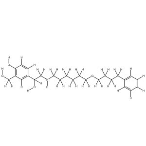 Salmeterol solution