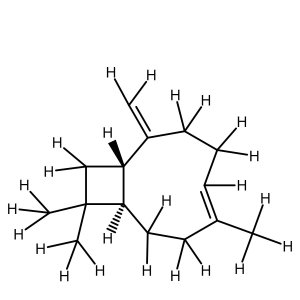 Caryophyllene, beta-
