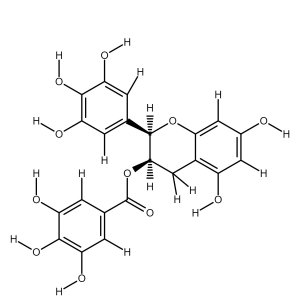 Epigallocatechin Gallate